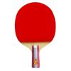 Double Fish Table Tennis Racket Series