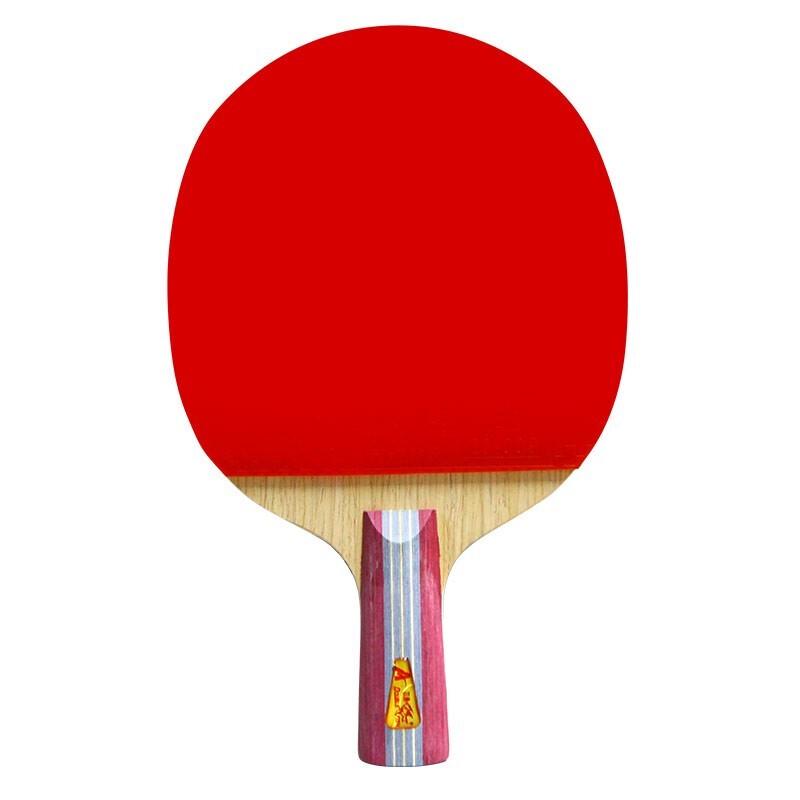 Double Fish Table Tennis Racket Series