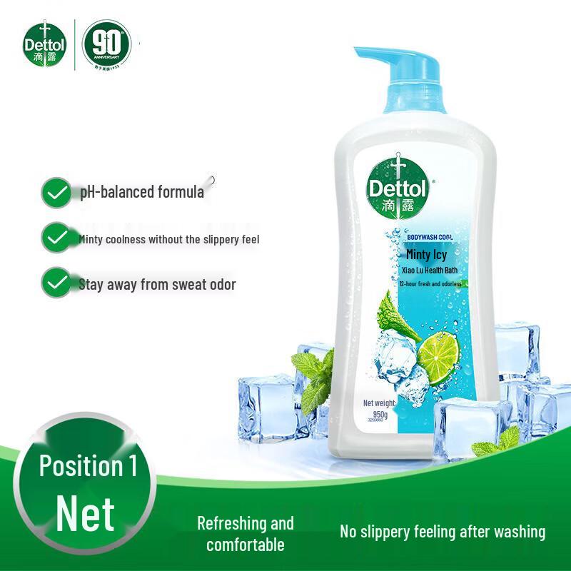 Dettol Mint Ice Cool Shower Gel