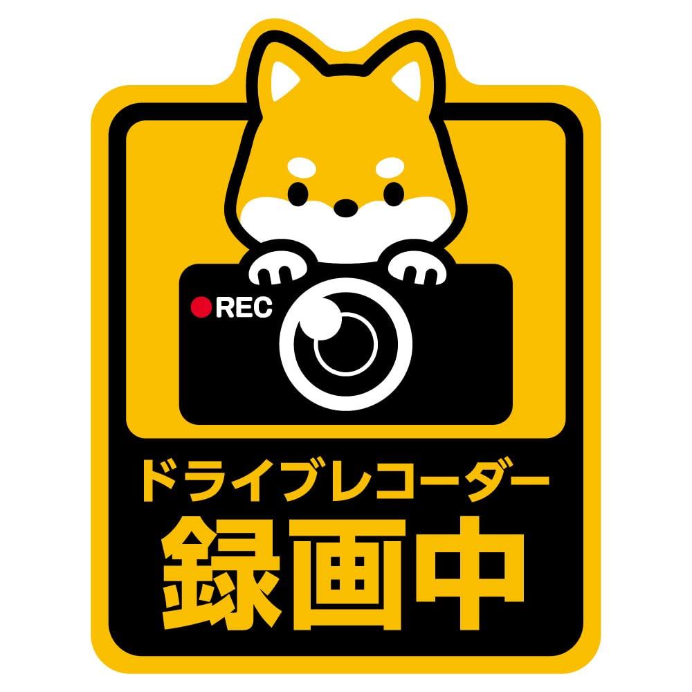 Car Magnet for Recording, Dog, Cat, Cute, Car Magnet, Car Accessory, Drive Recorder, Magnet,