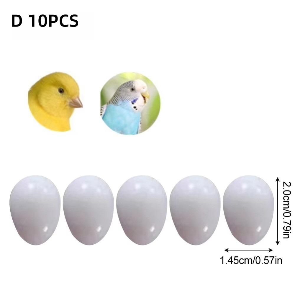 10pcs Realistic Dummy Eggs Multi-size Parrot Eggs Model Simulation Bird Eggs  For Budgie Cockatiel