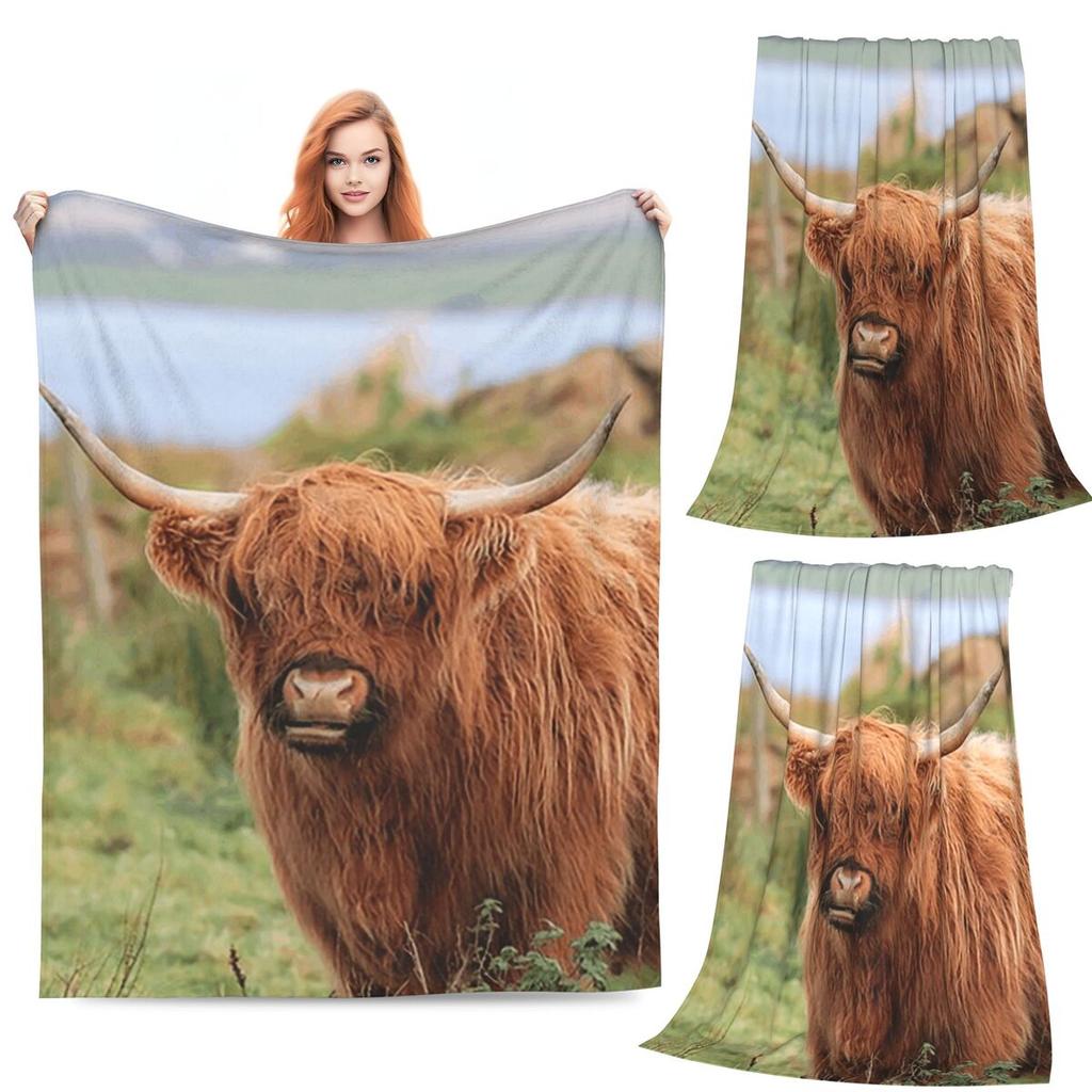 Highland Cow  Blankets Flannel Sofa Throw Blanket Multi-function for Couch Bedding Outdoor Throws Bedspread Quilt