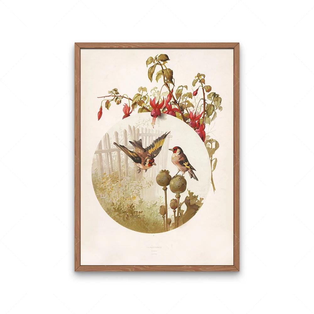 

Garden birds poster, goldfinch bird, beaked warbler bird and hyacinth flower, four bengal birds, audubon bird print decoration, 13X18CM No Frame