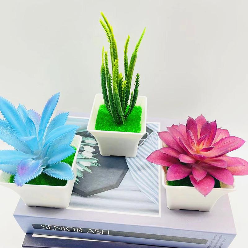 Simulation Crassula Muscosa Echeveria Laui Succulent Plant Bonsai Artificial