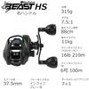 Abu Garcia Beast LP Beast 300 High Gear Baitcasting Reel Low Profile Bass Saltwater Monster Fish Big