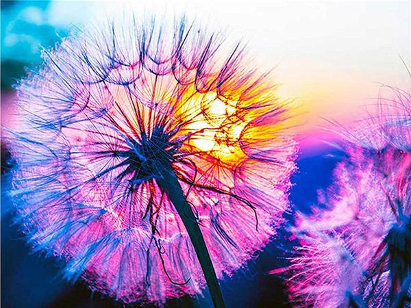5D Diamond Painting Sunset Love Beach DIY Round Full Diamond Embroidery Kit Landscape Home Decoration Crafts