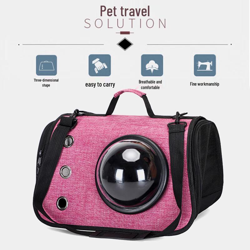 Foldable Transparent Pet Travel Carrier
