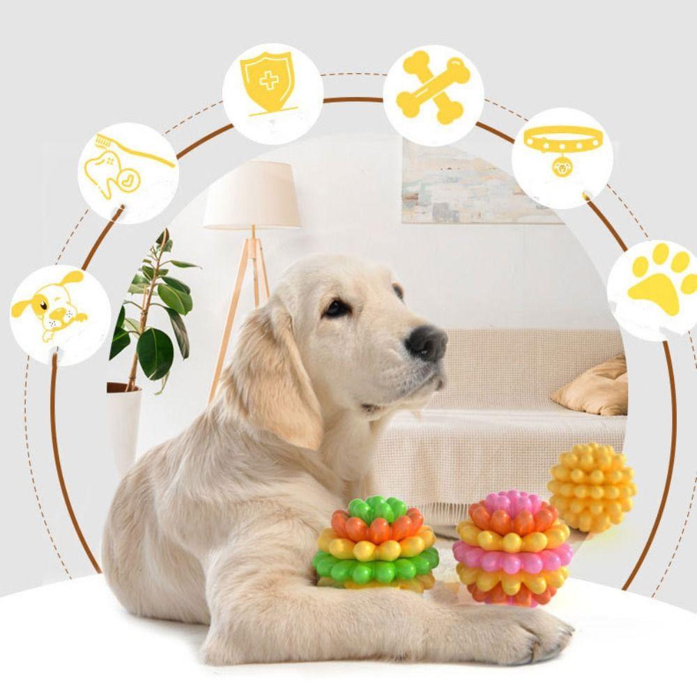 Colorful Dog Elastic Ball Toy High Elastic Dog Tooth Cleaning Toy For Dogs Cats
