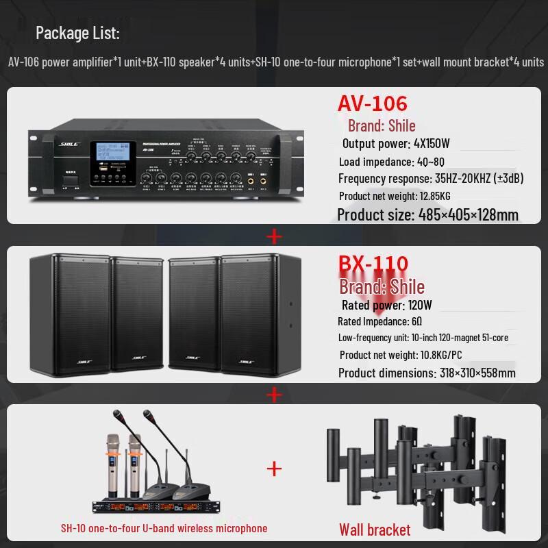 SHILE Professional 10-inch Wall-Mount Conference Audio System
