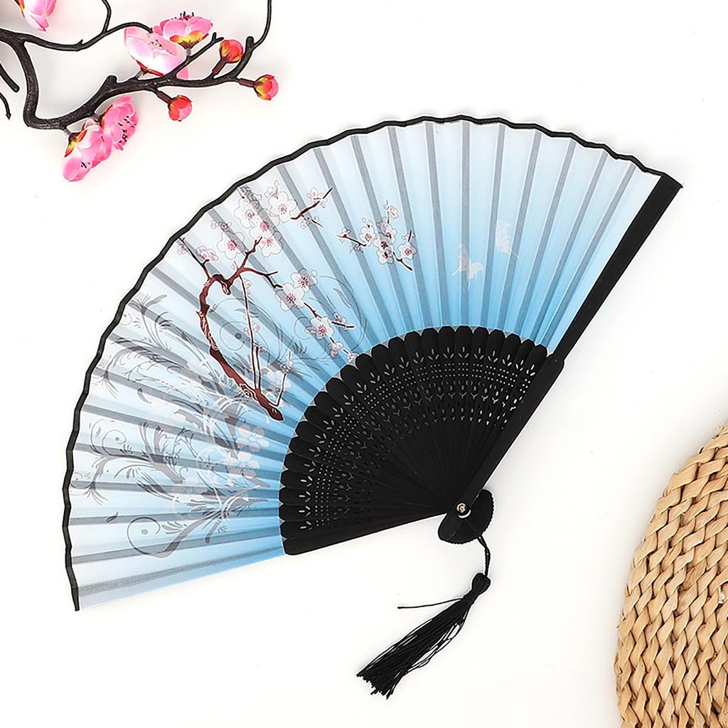 Antique Fan, Chinese Fan, Antique Folding Fan, Dance Fan