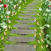 10Pcs Bee Garden Stakes Decor, Metal Yard Art Stakes, Front Yard Art Stick Floral Picks Bumble Bees Garden Stakes Outdoor Lawn Pathway Patio Plant Pot