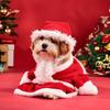 Pet Christmas Costume Dog 3d Puffy Dress With Cute Hat Funny Party Dressup New Year'S Gift Adorable Pet Spotlight