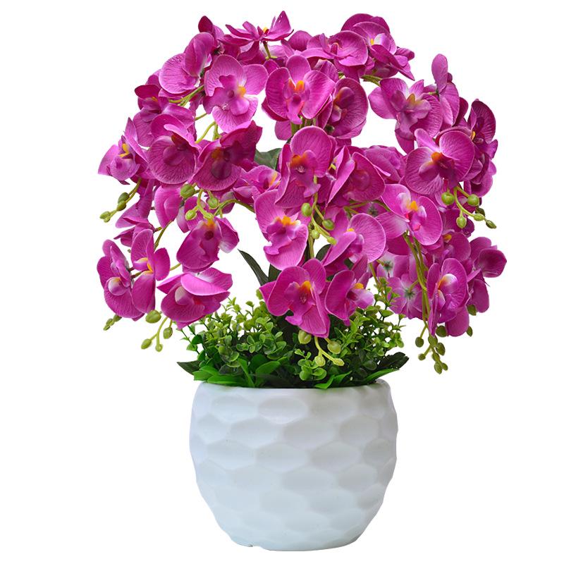 Artificial Phalaenopsis Flower Set: Indoor TV Cabinet Decor