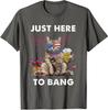 Cat Just Here To Bang Usa Flag Funny Beer 4Th Of July Unisex T-Shirt