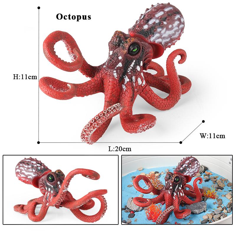 Oenux Marine Molluscs Model Simulation Squid Octopus Growth Cycle Action Figure Sealife Animals Education Collection Kids Toy