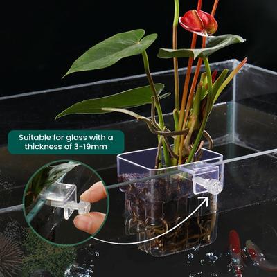 Aquarium Pflanzenkorb Transparent Fisch Tank Hängende Dekorationen Topf Wasserpflanzen Halter Wasserpflanzen Tasse Fisch Tank Pflanzer