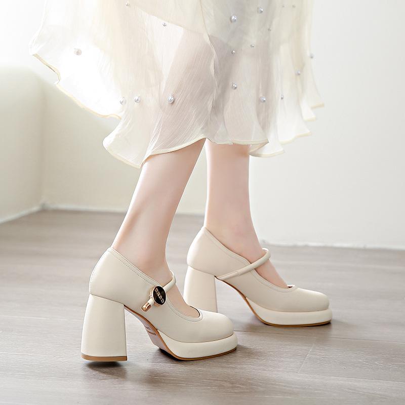 European and American evening breeze Mary Jane high heels women's versatile thick heel skirt spring 2025 new small leather shoes single shoes