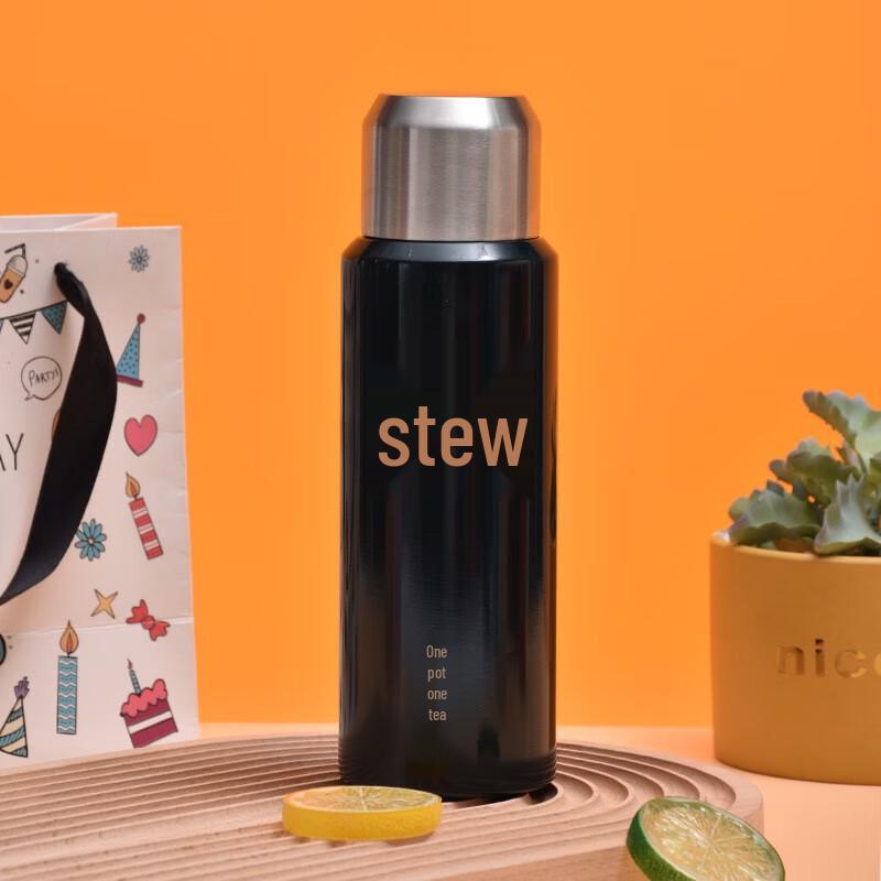 Portable Insulated Tea Infuser Thermos