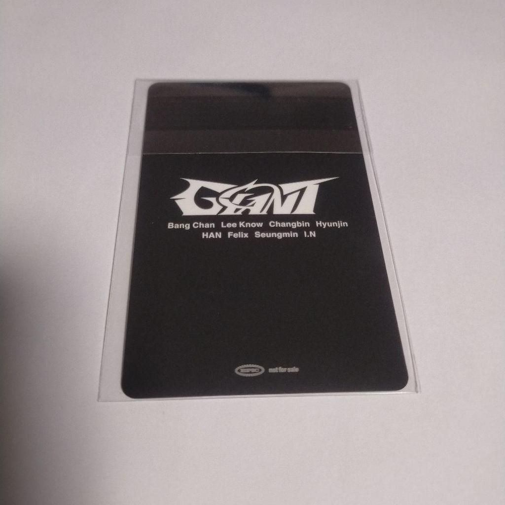 [USED] StrayKids Seungmin GIANT Lucky Doro