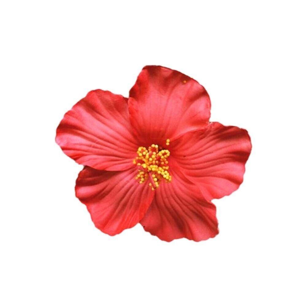 Headwear Hawaiian Flower Hair Clips Side Bangs Clip Hair Accessories Artificial Flower Clips Romantic