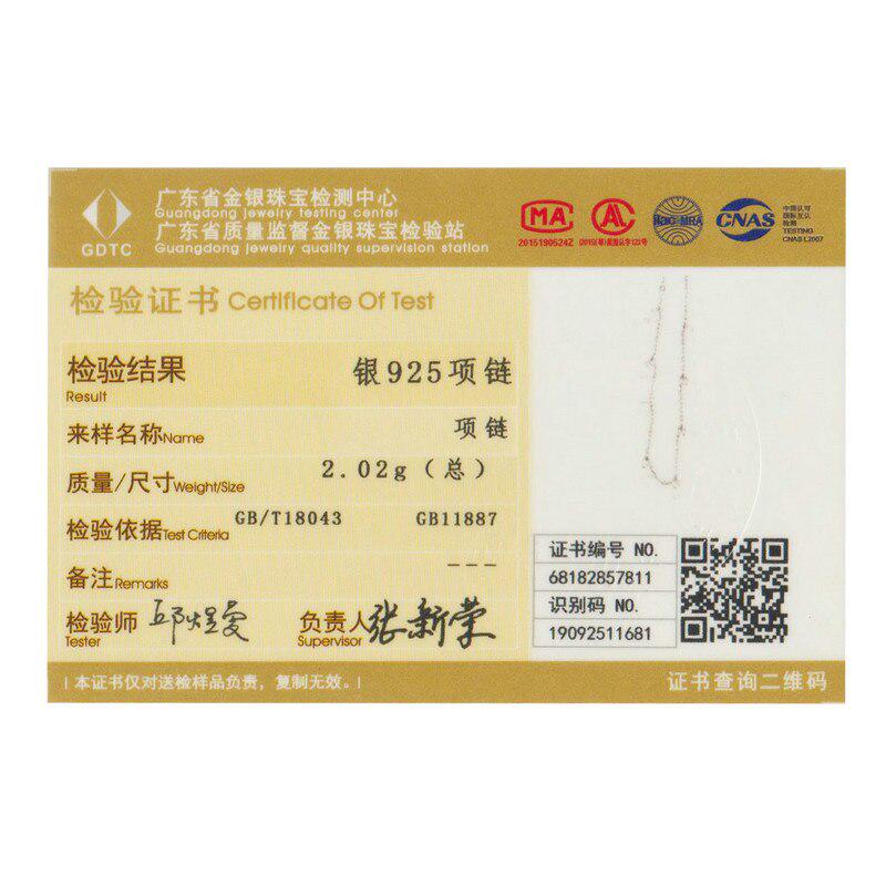 WOSTU Colier mic cu zircon autentic din argint 925 Colier cu design simplu