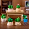 Landscape Creative Micro Cactus Decorations Toy Accessories Ornaments Desktop