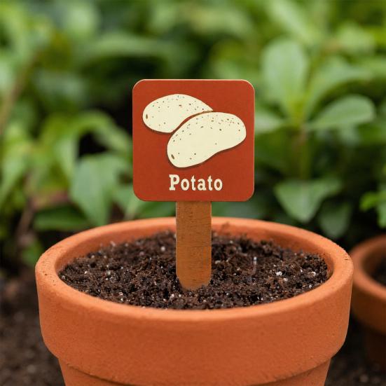 15Pcs Wooden Plant Labels, Vintage Waterproof Garden Markers for Vegetables Herbs, Solid Wood Stakes with Pointed Tip & English Names, Outdoor/Indoor