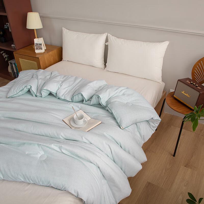 MUJI Cationic Heat-Retaining Winter Comforter