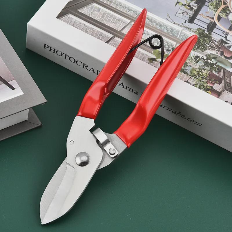 Stainless Steel Pruning Shears with Rubber Handle for Branches and Fruit Picking