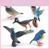 Realistic Plastic Hummingbird Model Perfect For Home Decor And Collectors Ideal For Bird Lovers