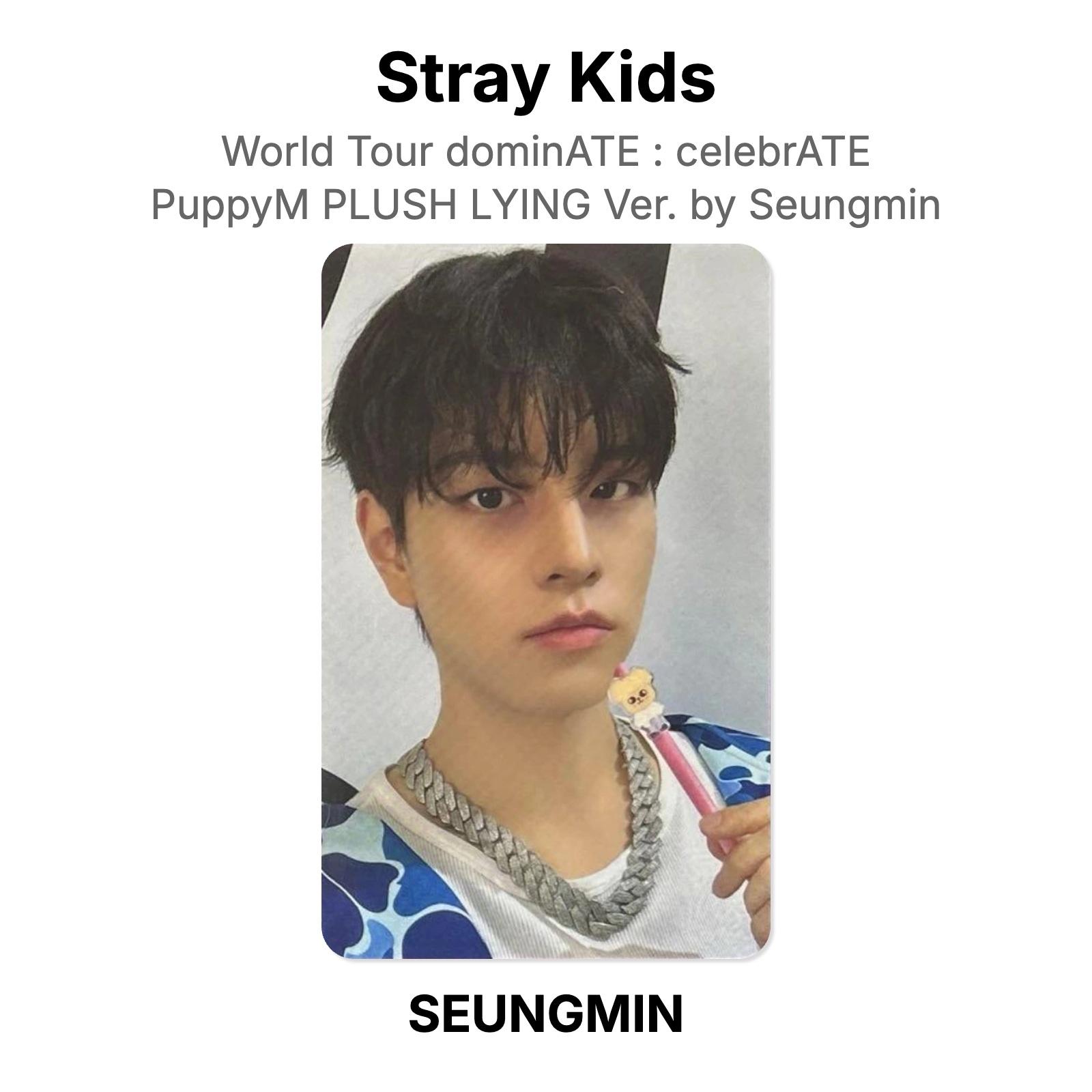 Stray Kids SEUNGMIN World Tour dominATE : celebrATE PuppyM PLUSH LYING Ver. by Seungmin Official Photocard SEUNGMIN