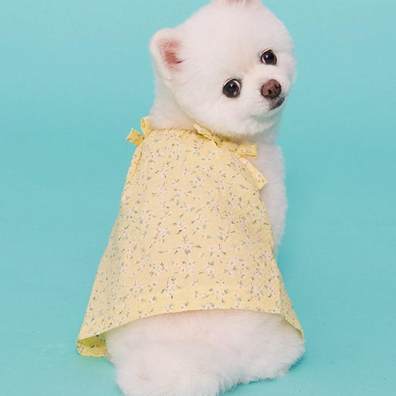 MIMINKO Baby's Breath Lace Blouse [DW3MB1290]