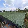 Colorful Outdoor Camouflage Sunshade Net for Heat Insulation & Decorative Greening