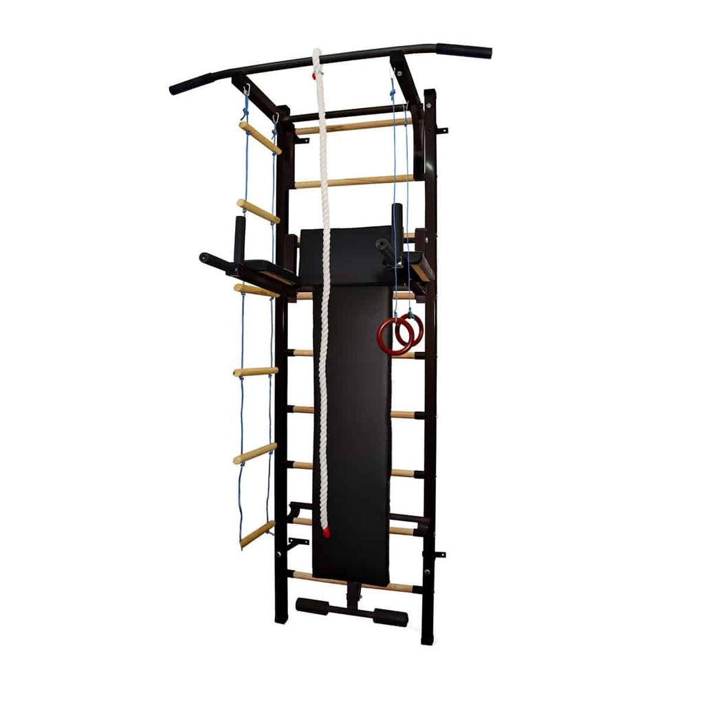 Maximus Plus home gym black