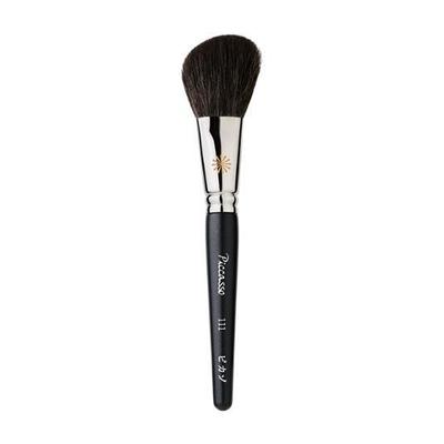 Picasso Shade Creation 111 Shading Brush
