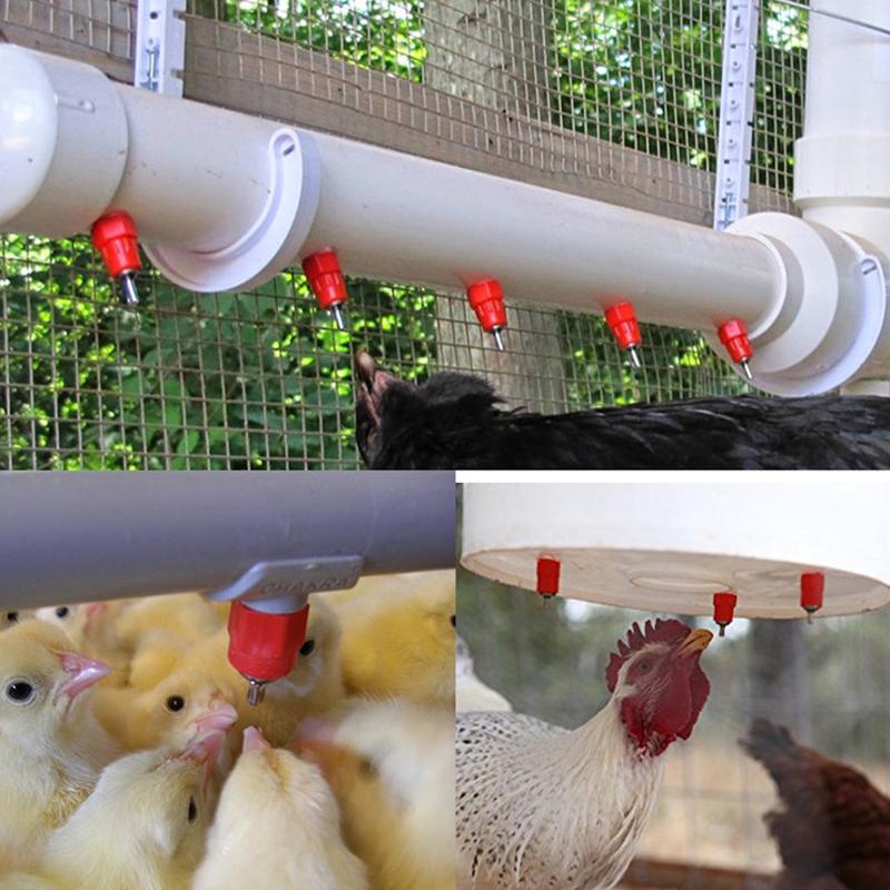 Hühner-Tränke Nippeltränken Wachtel Taube Vogeltränke Nippel Automatische Tränken Feder-Typ Geflügelzucht Ausrüstung