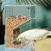 Adjustable Feeding Speed Parrot Feeder Acrylic Transparent Food Container  All Size Birds