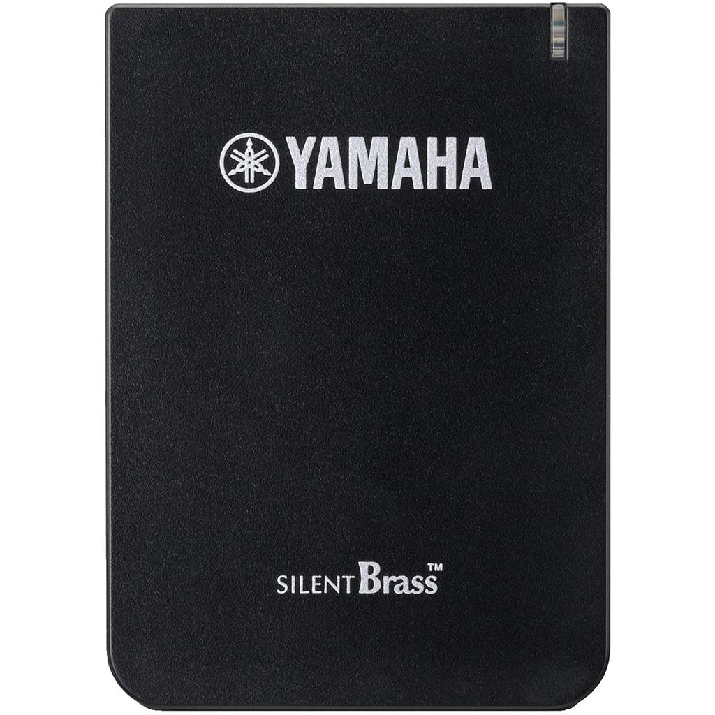 YAMAHA Personal Studio STX-2