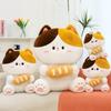 Cute bread cat doll plush toy girl bed sleeping doll warm heart to accompany girlfriend birthday gift