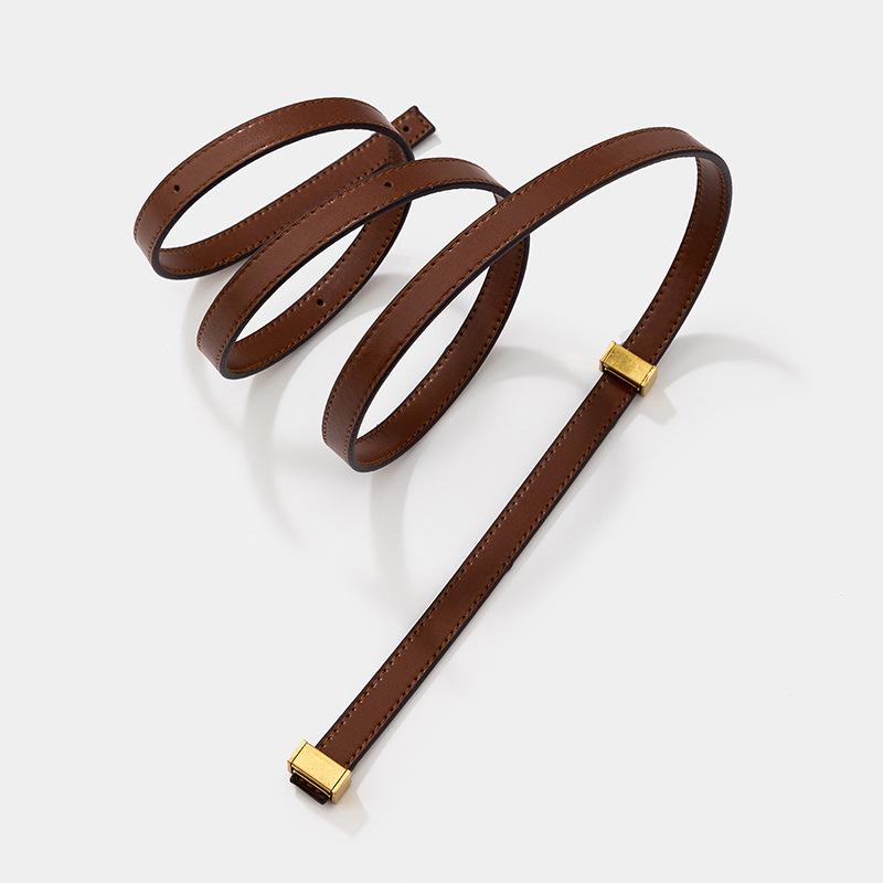 Versatile and Fashionable Bag Replacement Shoulder Strap Portable Thin Shoulder Strap Three-gear Adjustment New Bag Accessories