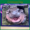 Moo Hippo Deng 2025 Calendar Sticker Travel Hanging Wall Decoration Home Office