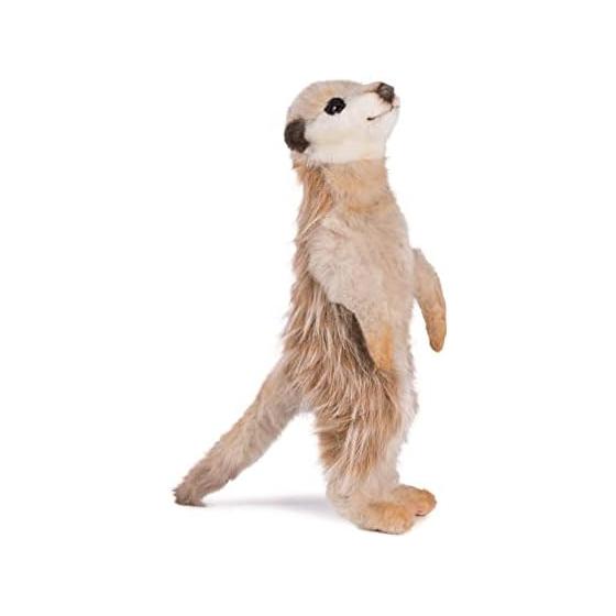 BH5326 HANSA Meerkat 33