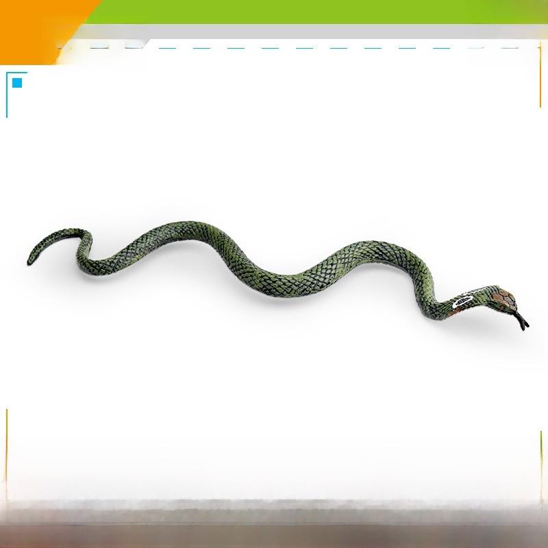 Pvc Reptile Models Wild Animal Decor For Kids Learning And Home Display
