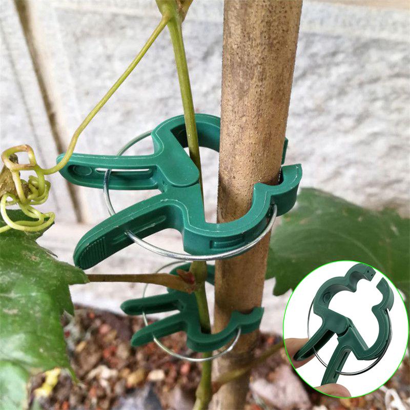 Buy Reuseable Garden Clips Sprung Clips Reusable Plant Clips Cane