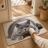 Absorbent Entryway Rug Diatomite Pet Floor Mat Practical Cat Print Doormat  Hallway