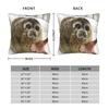 Seal Sea Meme Give It To Me Square Pillowcases Polyester Seat  Cushion Cover Funny Decor Pillow Cover 45*45