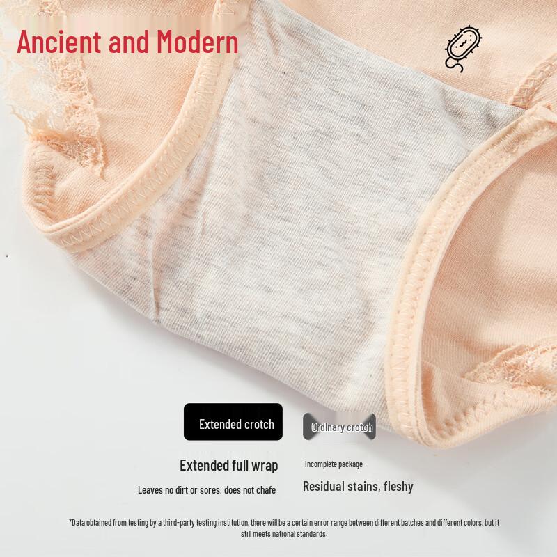 GUJIN Women's High-Waist Lace Tummy Control Cotton Briefs