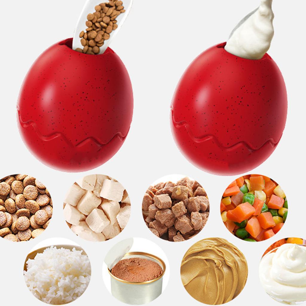 Hundvalpen slickade upp matresterna och åt de dinosaurieägg som hade