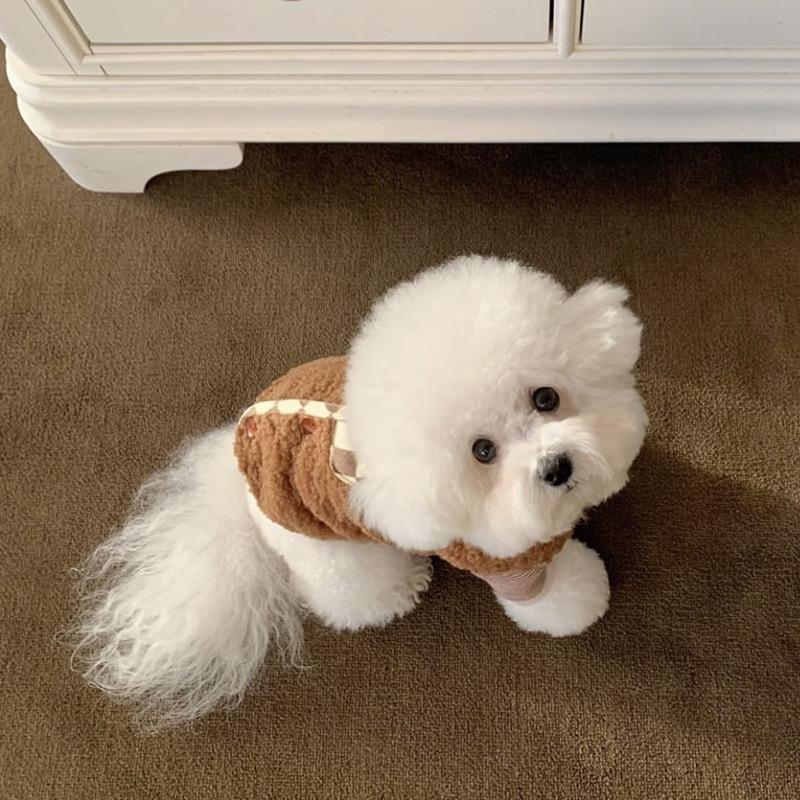 Pet Autumn and Winter Clothing Teddy Bichon Vest Yorkshire Small Dog Pomeranian Cat Dog Clothing Autumn Warm