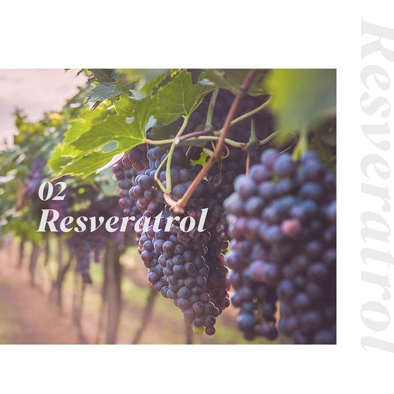 NEOGEN - Dermalogy High R Exosome Cream